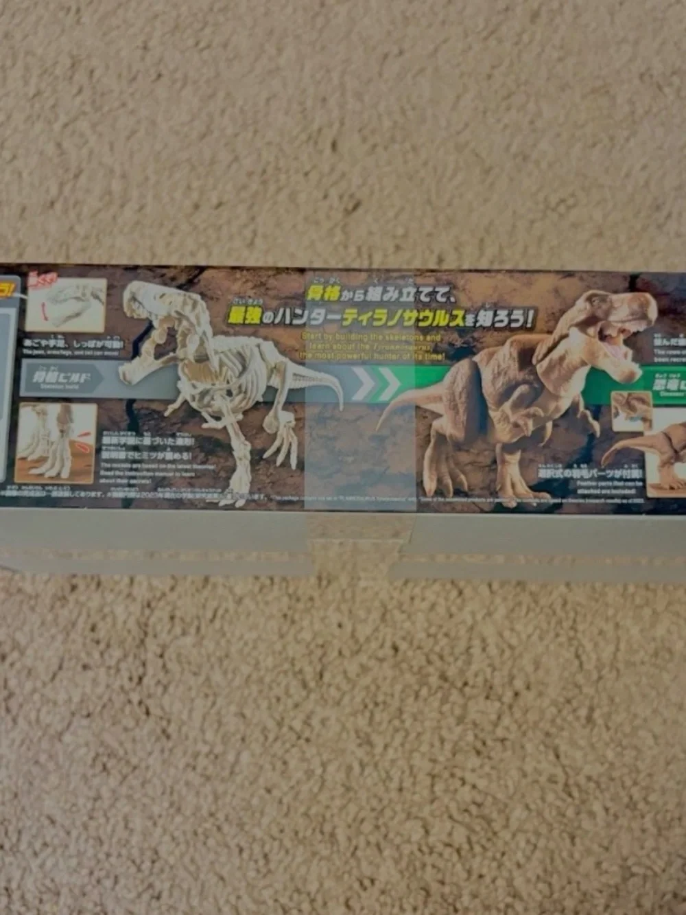 Dinosaur Model Kit Plastic Plannosaurus Tyrannosaurus Bandai Japan Exclusive New
